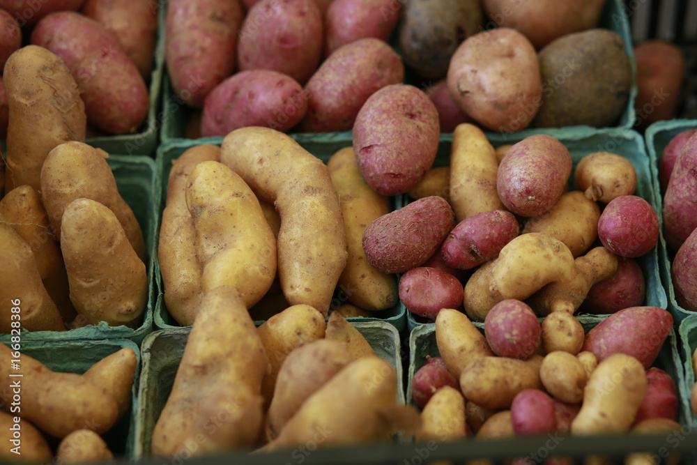 Potatoes for sale at the Farmers Market Potatoes for sale at the Farmers Market