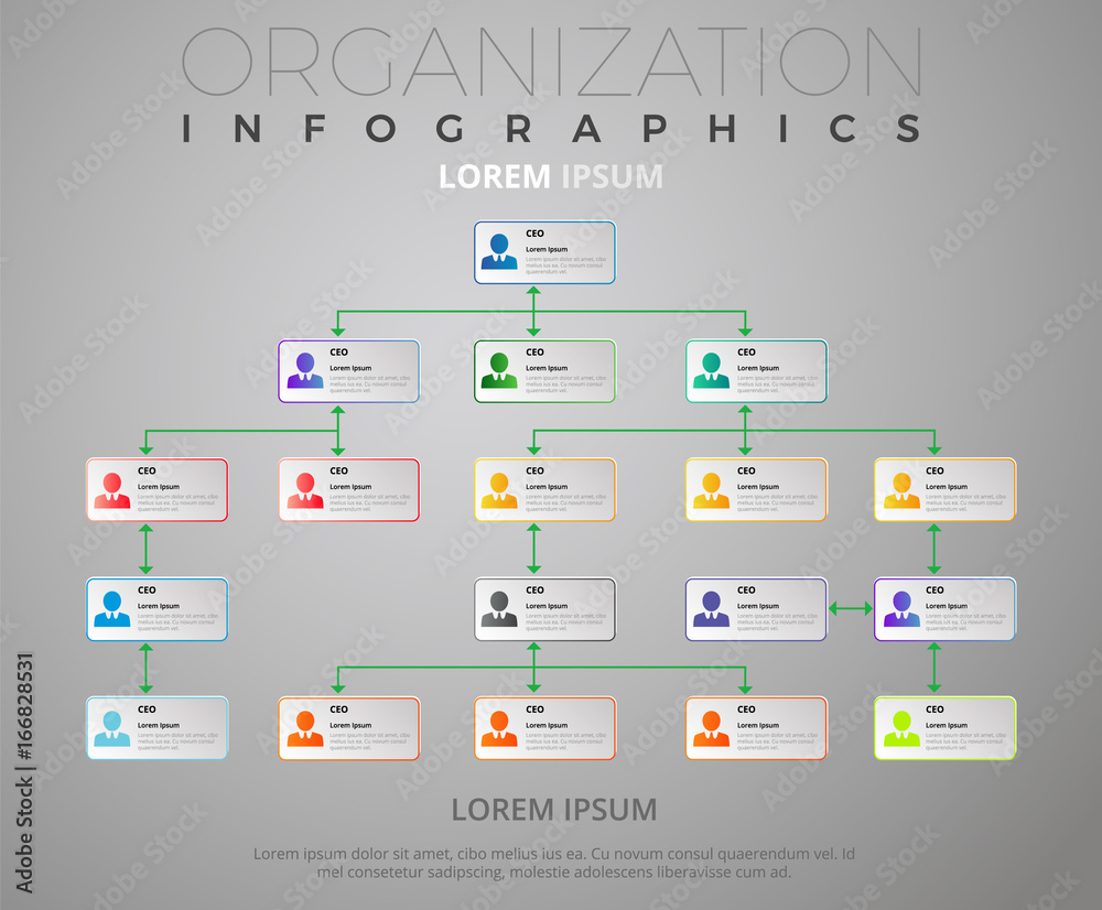 Organization Schema / Infographics Vectorial Design