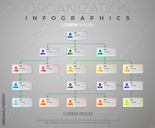 Organization Schema / Infographics Vectorial Design