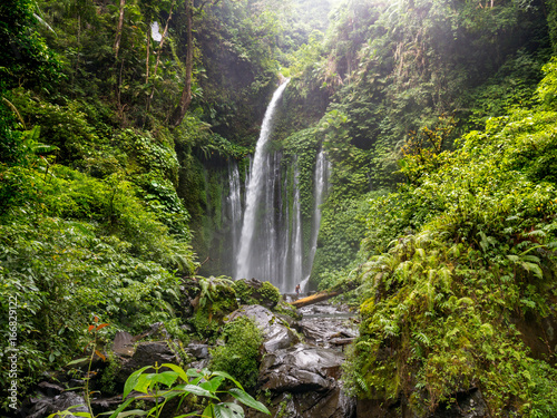 Fototapeta Naklejka Na Ścianę i Meble -  Tiu Kelep Waterfall in the near of the Volcano Rinjani, Lombok, Indonesia