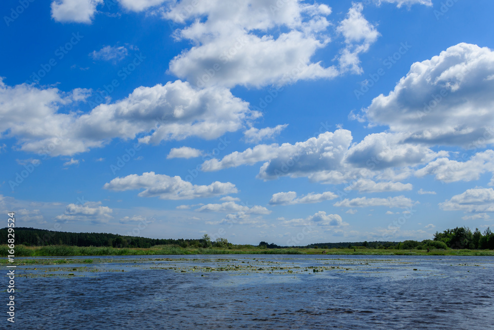 Landscape of wild river under the blue sky with white clouds