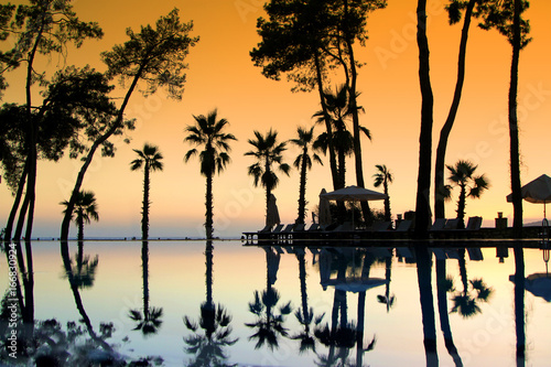 Reflections of trees on pool water with sunset sky. Summer vacations concept image.