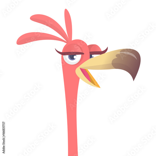 Cool carton pink flamingo bird. Vector illustration isolated. Poster design of sticker
