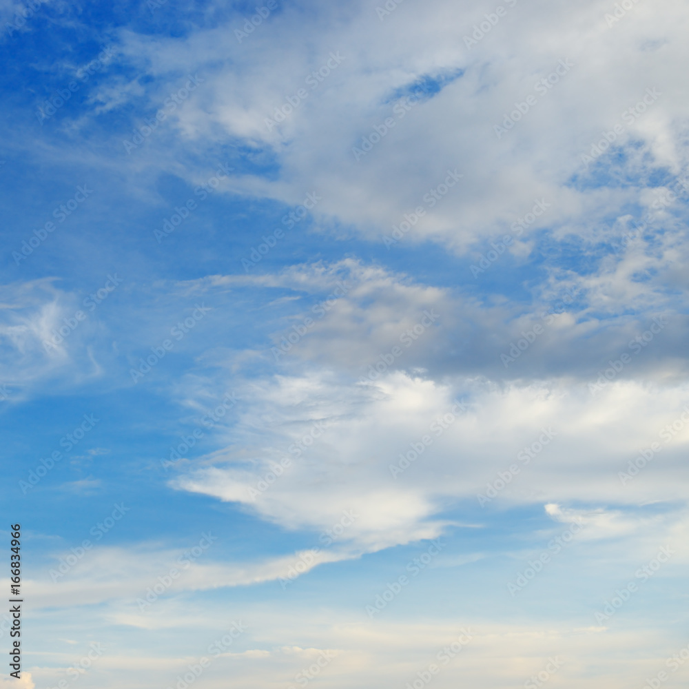 Light cirrus clouds in the blue bright sky.