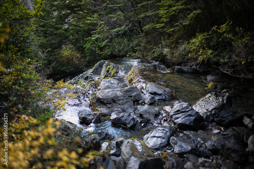 rio en la patagonia