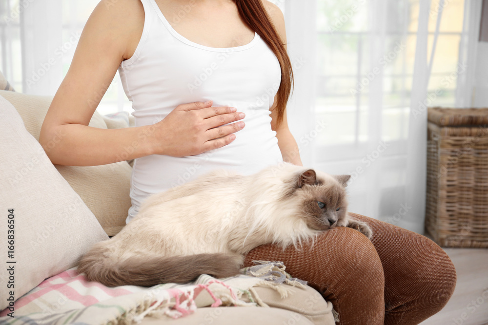 Young pregnant woman with cute cat sitting on sofa in light room Young pregnant woman with cute cat sitting on sofa in light room