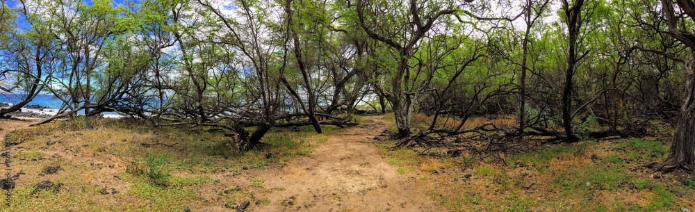 Panorama of hiking path through Ruins of ancient village Maonakala Village Complex, Kualapa Cluster and Kauhuoaiakini and Halua Pool Complex, on coast of Maui Hawaii Panorama of hiking path through Ruins of ancient village Maonakala Village Complex, Kualapa Cluster and Kauhuoaiakini and Halua Pool Complex, on coast of Maui Hawaii