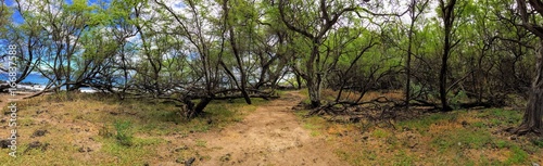 Panorama of hiking path through Ruins of ancient village Maonakala Village Complex  Kualapa Cluster and Kauhuoaiakini and Halua Pool Complex  on coast of Maui Hawaii