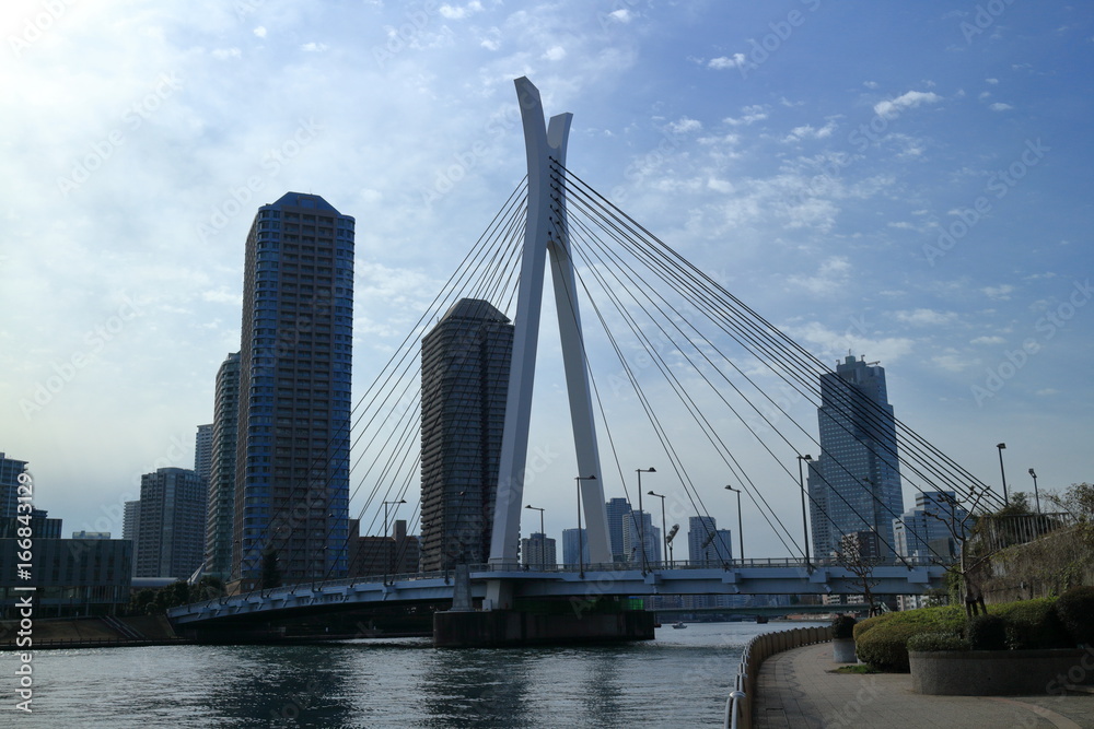 Obraz premium 昼の隅田川中央大橋