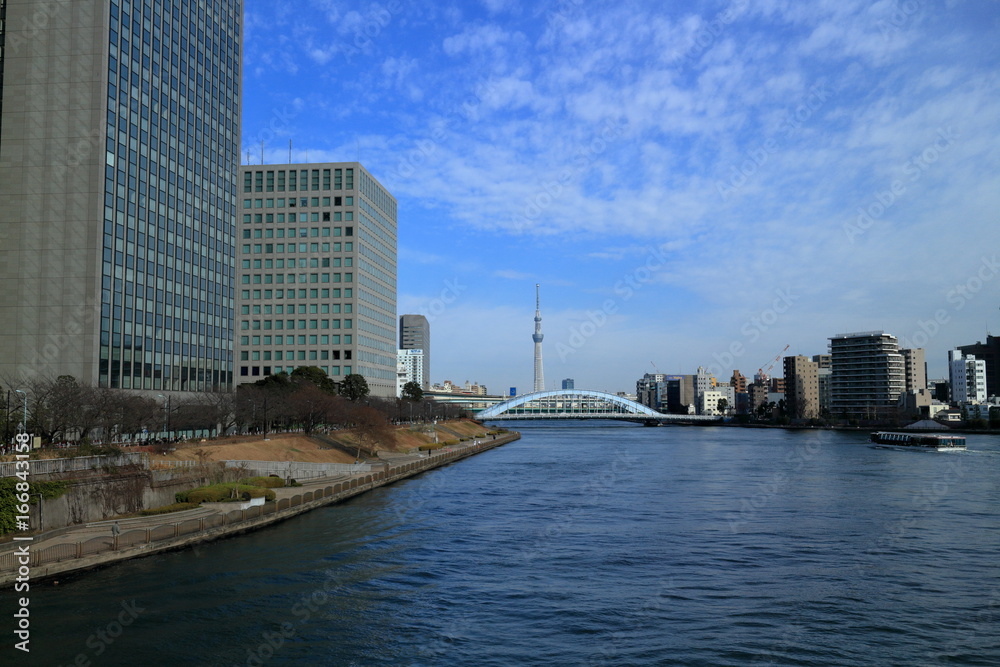 昼の隅田川風景