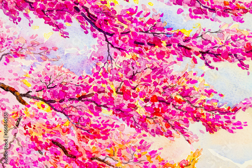 Painting  landscape watercolor original  colorful of wild  himalayan cherry © Painterstock