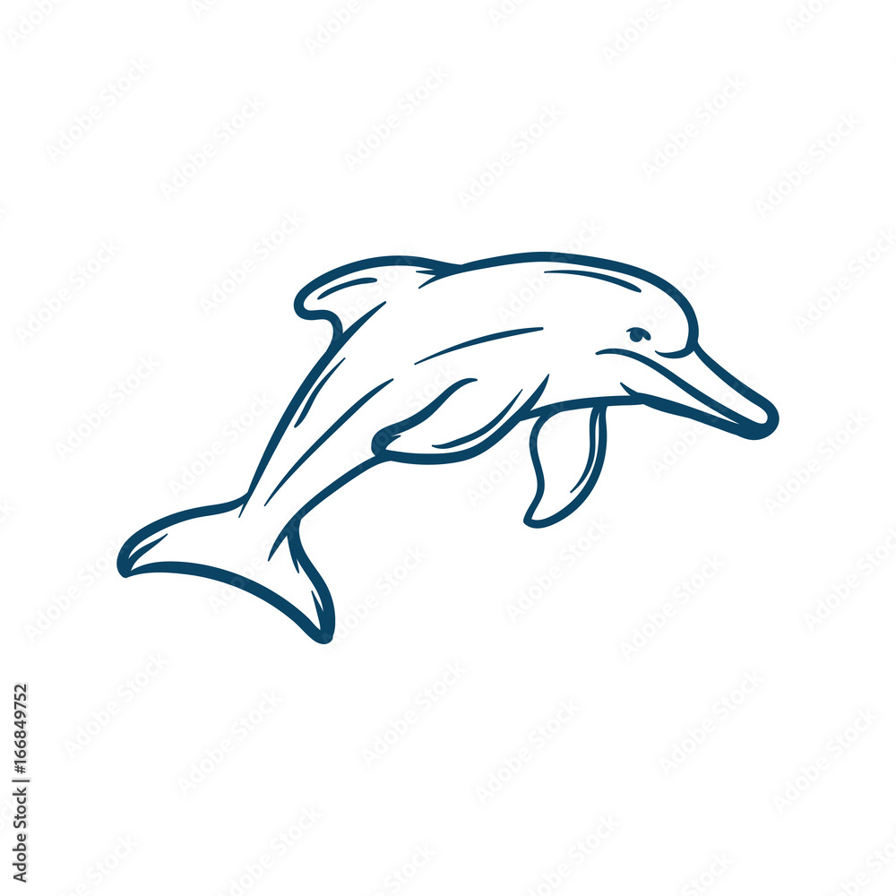 dolphin fish animal vector outline dolphin fish animal vector outline