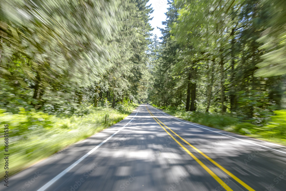 Obraz premium Motion blur shows as sunlight filters in through the dense rainforest canopy on this Washington road