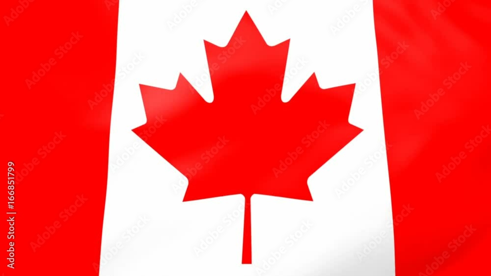 High-Quality Realistic flag of Canada waving in the wind. Seamless loop, A fully framed flag