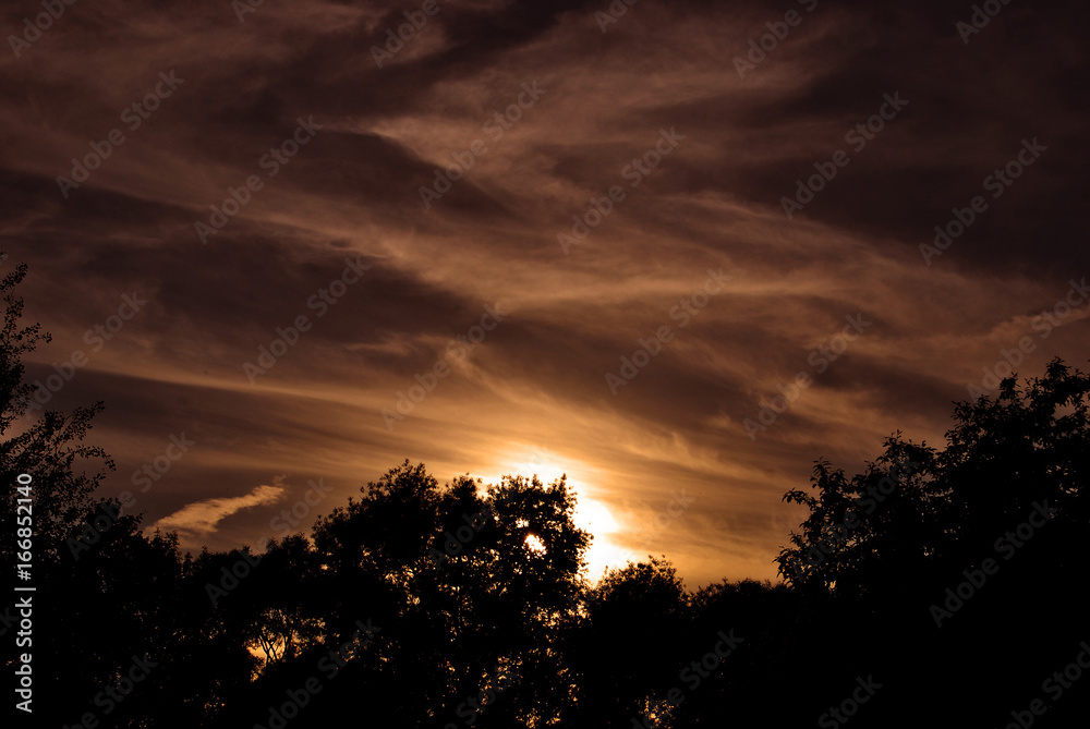 Dark sunset with silhouettes of forest trees