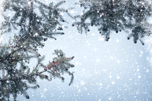 Christmas tree pine branch and snowfall on sky background. vintage color tone and rustic style. © jakkapan