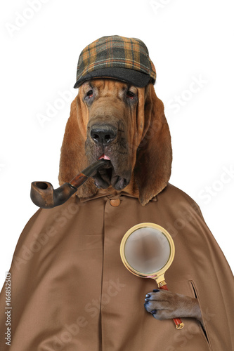 Photography Bloodhound dog with magnifying glass and pipe