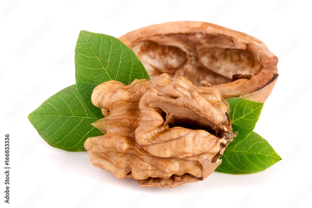 Walnut with leaf isolated on white background Walnut with leaf isolated on white background