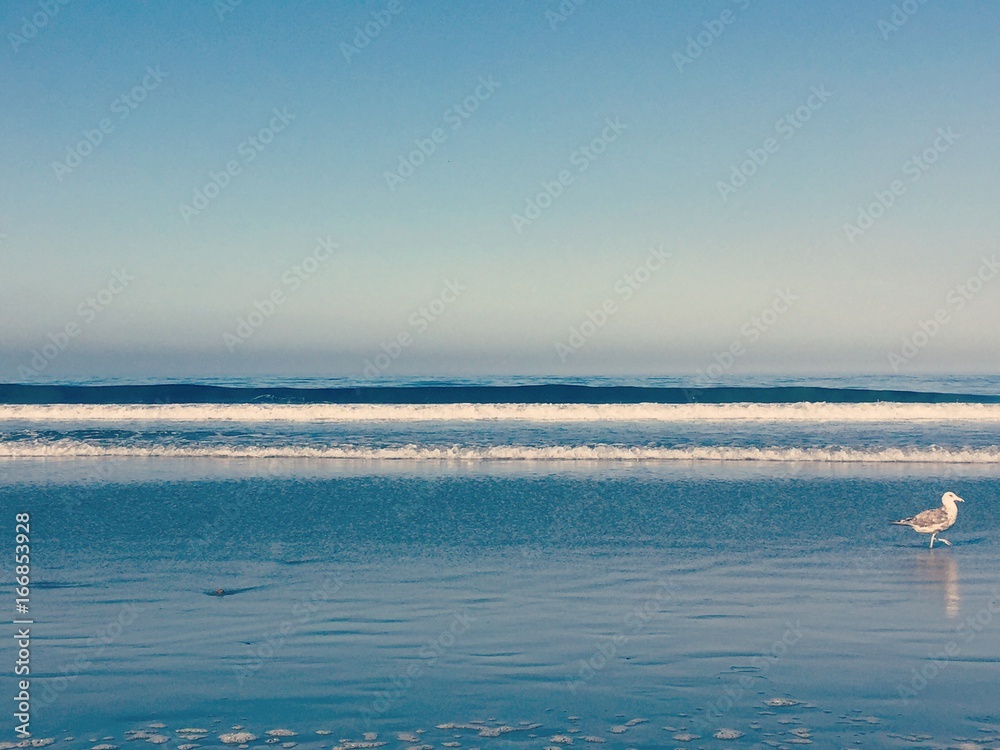 Obraz premium los angeles