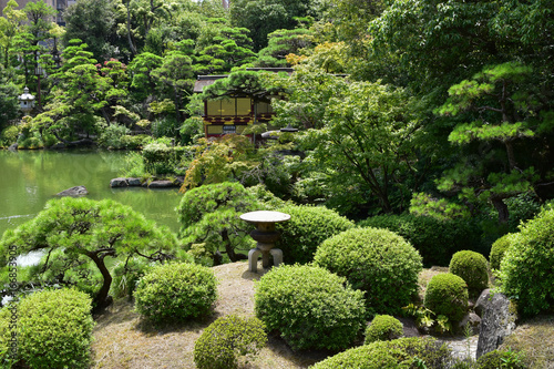 日本庭園の夏