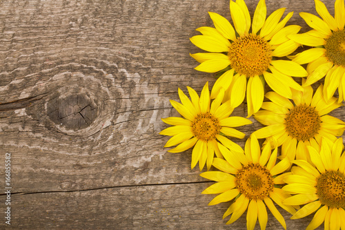 Three sunflowers on old wooden background with copy space for your text. Top view