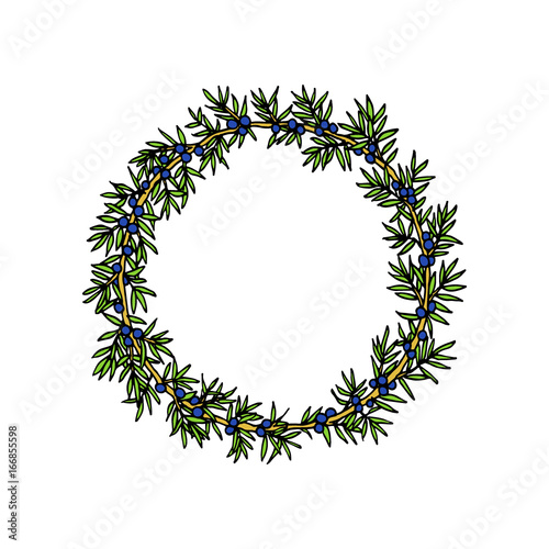 Hand drawn juniper wreath