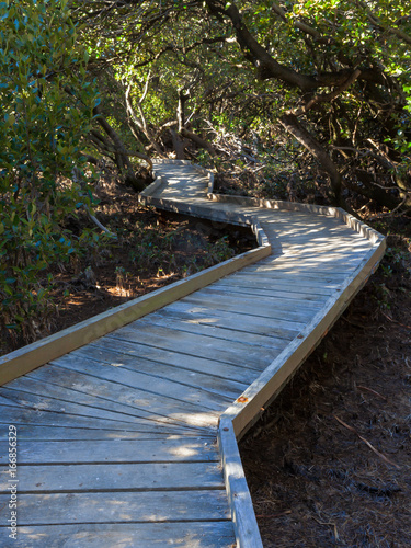 Path 