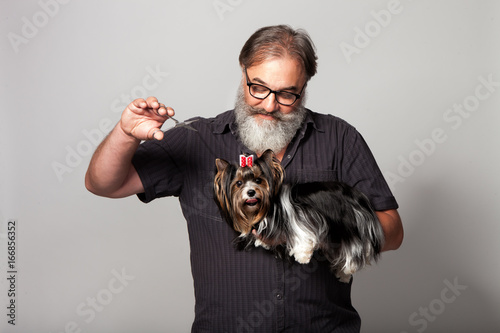 An elderly bearded hairdresser for dogs with scissors and a terrier on a gray background in the studio photo