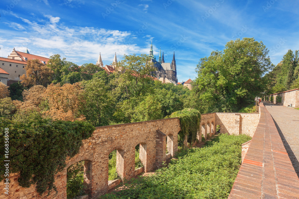 The ruins of Fig Plant construction in Royal garden of Prague Castle. Originally built in 1570, today there are only surrounding stone walls, but figs grow up on this place again. The ruins of Fig Plant construction in Royal garden of Prague Castle. Originally built in 1570, today there are only surrounding stone walls, but figs grow up on this place again.