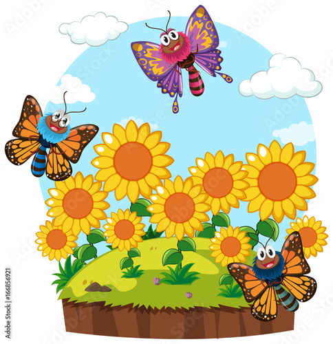 Garden scene with butterflies in sunflower garden