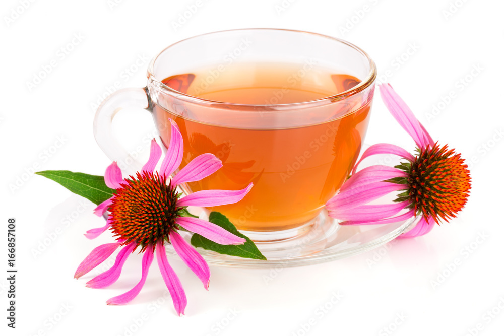 Echinacea tea isolated on white background. Medicinal tea Echinacea tea isolated on white background. Medicinal tea