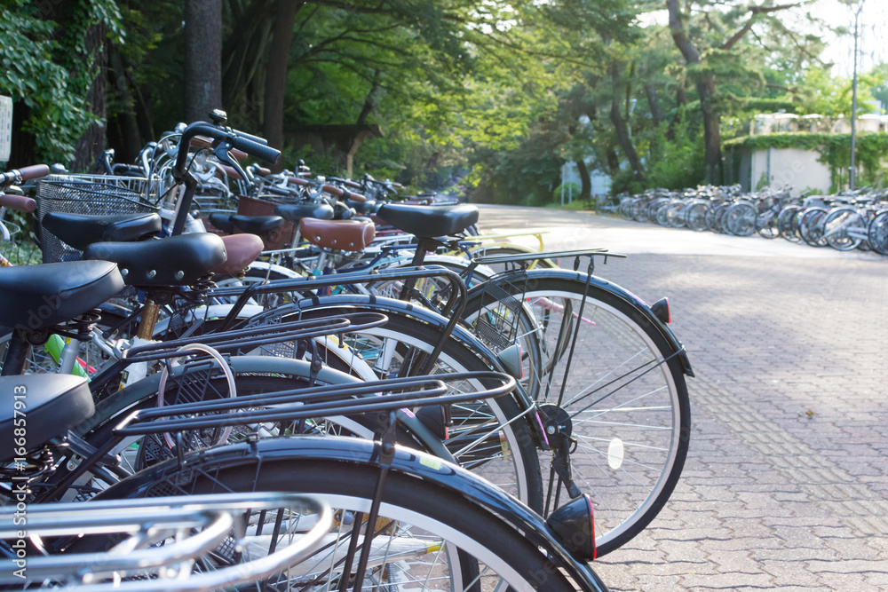 Fototapeta premium 自転車 駐輪