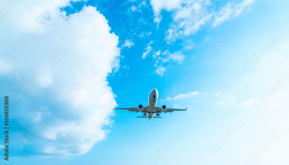 Obraz premium 旅客機・飛行機・青空