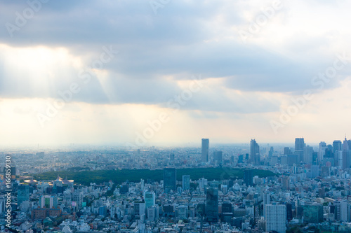 東京 風景 曇り