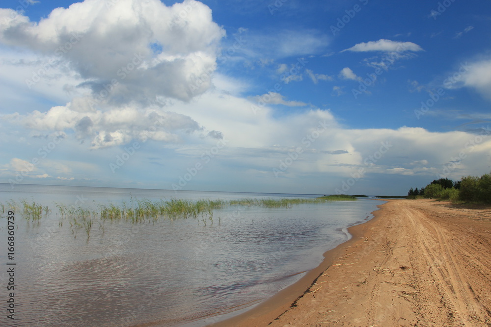 sea shore