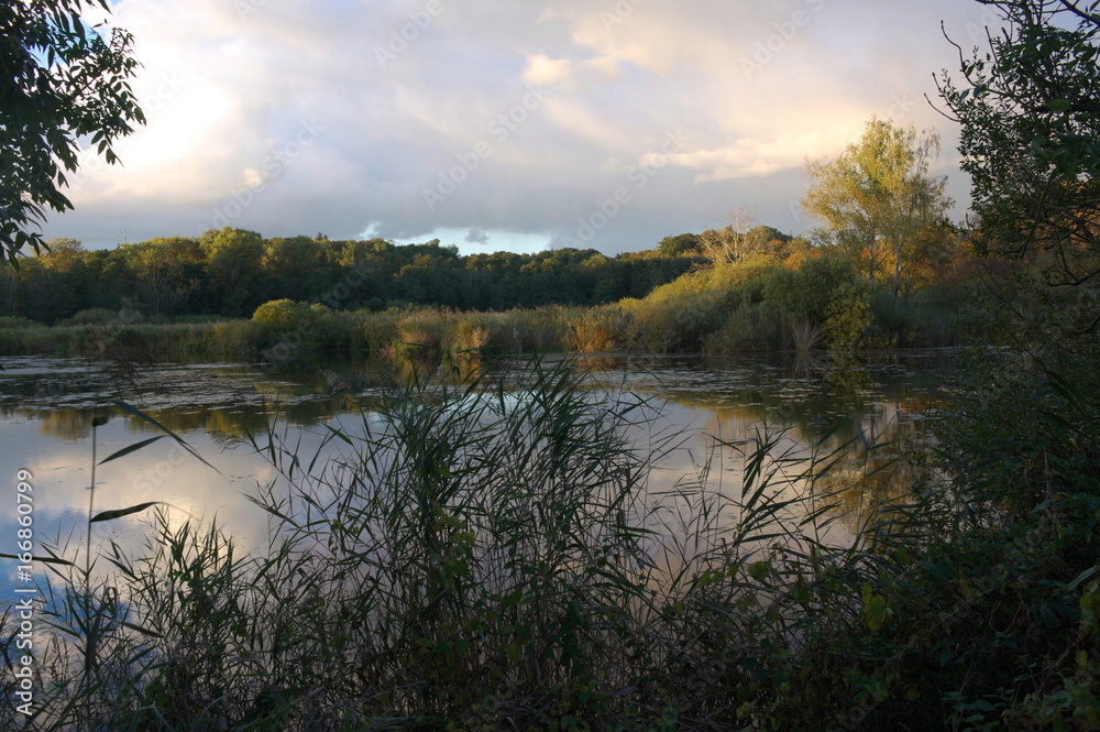 Fototapeta premium Schloss Gottorf - See - III -