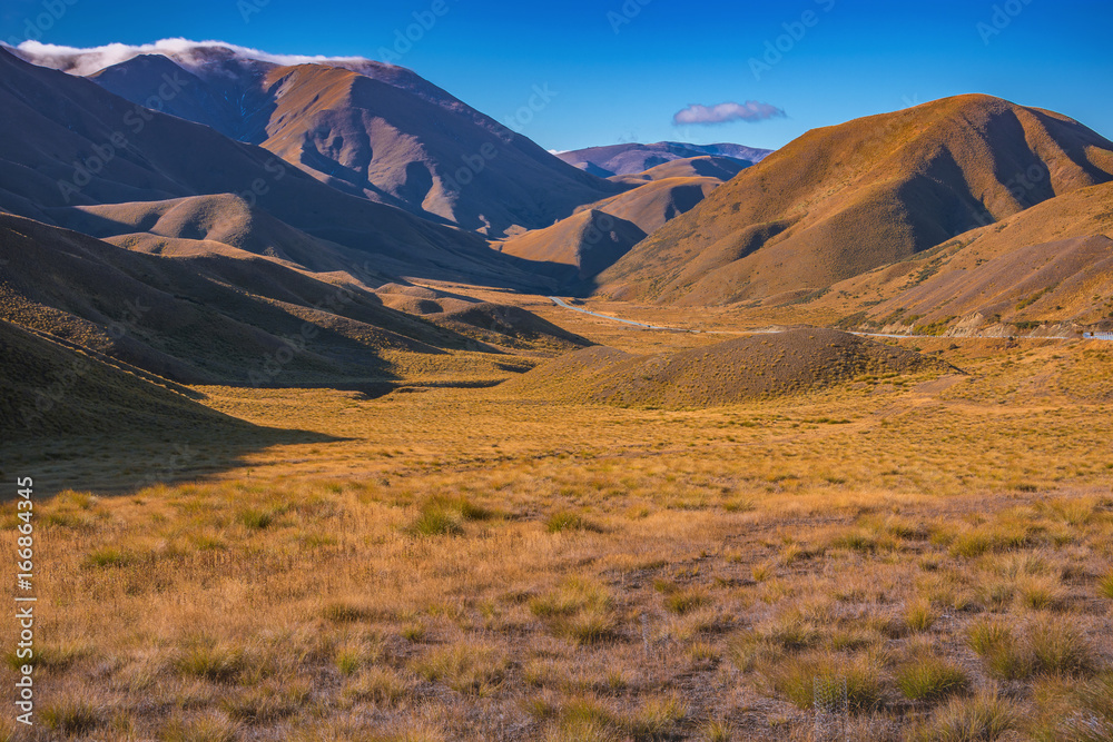 Lindiss Pass in south island, New Zeland. The golden feild and mountain with the blue sky as background.