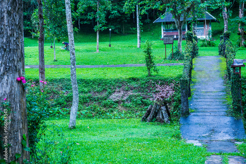 Small bridge in forest photo