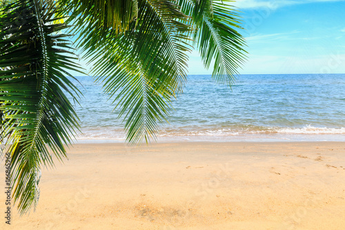 Palm  leaves and summer beach  sea with empty