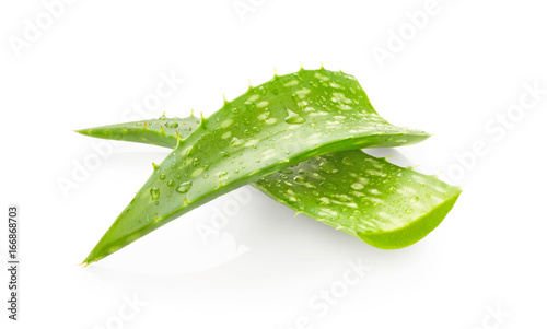 Aloe vera leaves with drops of water