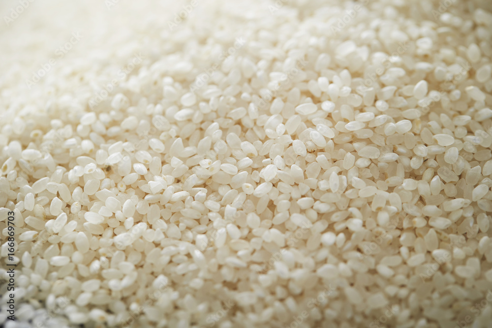 white rice white rice