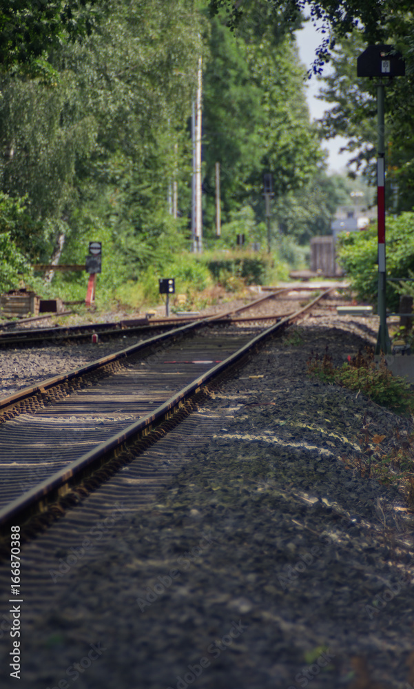 Crossing Railway