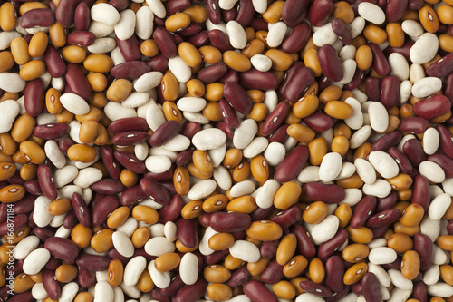 Mixed organic colorful beans