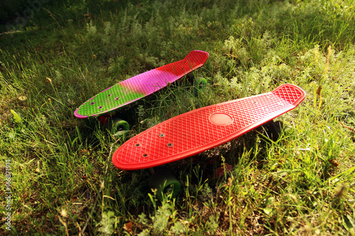 Two bright skateboards on green grass photo