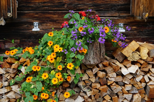 Alpenblumen auf Holz photo