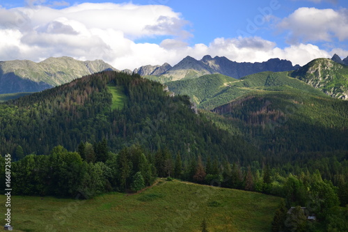 Góry Tatry - widok z Antałówki © robert6666