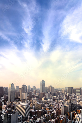 Cityscape of Tokyo city, japan. Aerial skyscraper view of office building and downtown of tokyo with sunset/ sun rise background. Tokyo is metropolis and center of new world's modern business