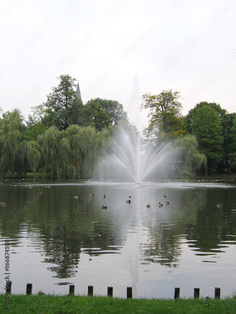 High fountain in the Park, in the middle of the pond.
