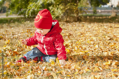 A small child in a red jacket sits on fallen autumn leaves © Irina