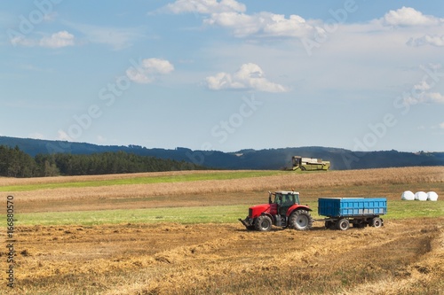 Combine harvester harvest ripe wheat on a farm in Czech Republic. Harvest time. Cultivation of grain on an agricultural farm.
